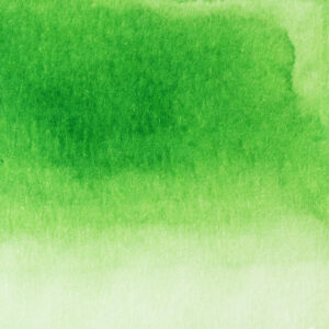 Pennonia Almazöld - water resistant (60 ml bottled ink, green)