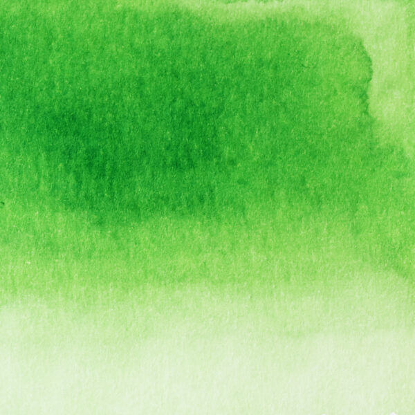 Pennonia Almazöld - water resistant (60 ml bottled ink, green)
