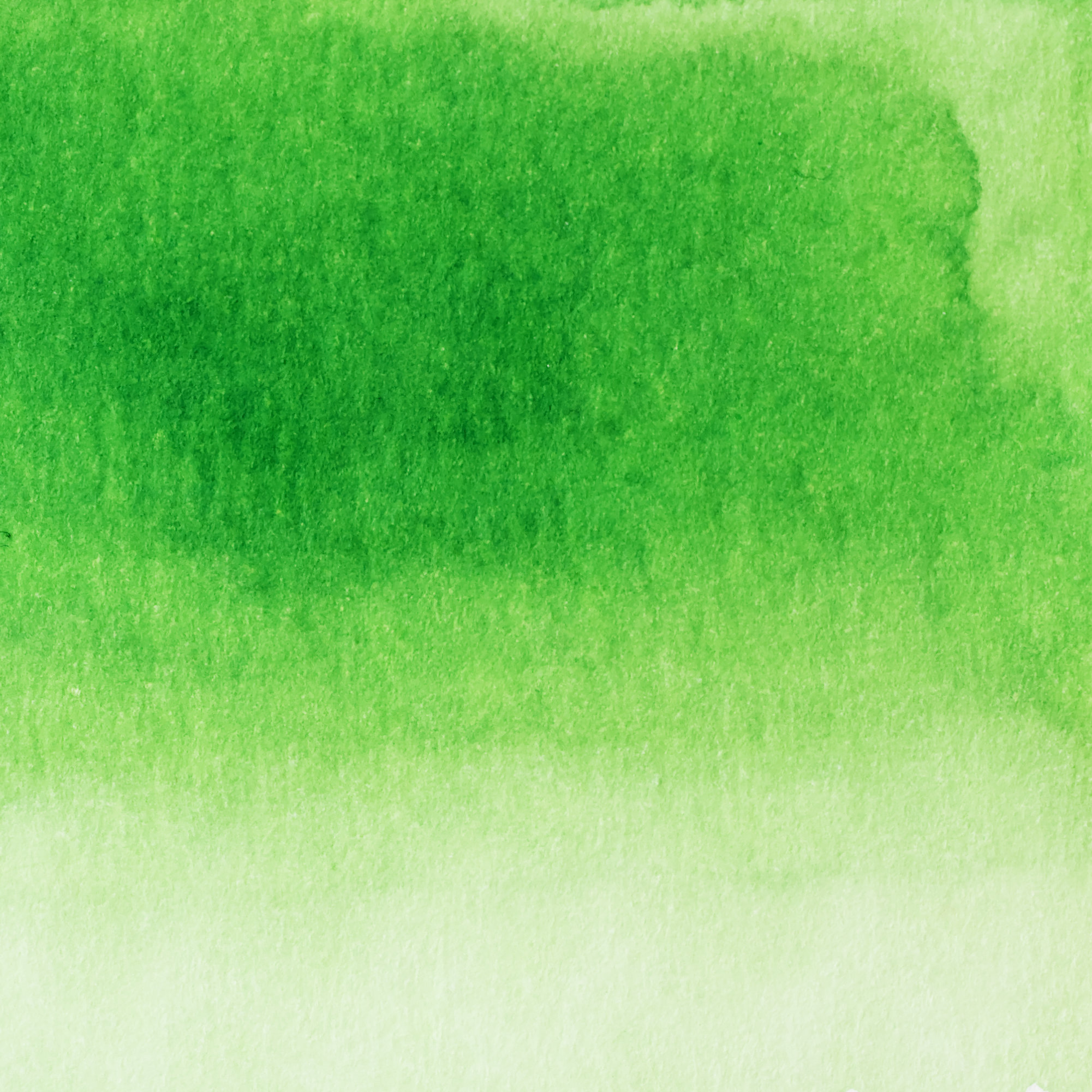 Pennonia Almazöld - water resistant (60 ml bottled ink, green)