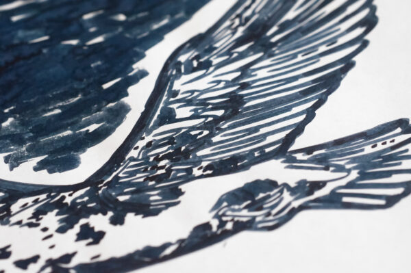 Pennonia Fekete Sas (60 ml bottled ink, black) - Image 4