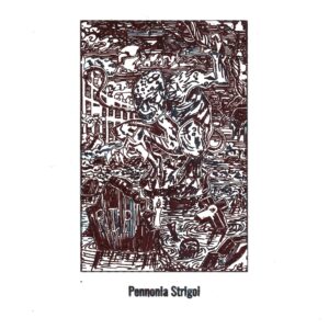 Pennonia Strigoi Limited Edition 2022 (30 ml bottled ink, black)