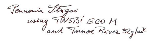 Pennonia Strigoi Limited Edition 2022 (30 ml bottled ink, black) - Image 3
