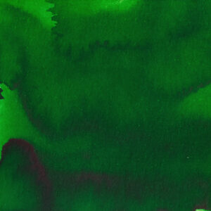 Pennonia Csillánt (60 ml bottled ink, green)
