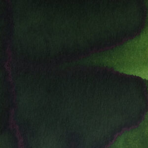 Pennonia Fenyves (60 ml bottled ink, green)