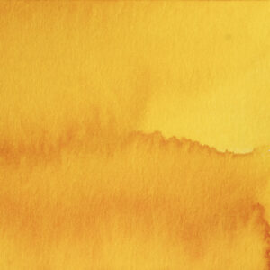 Pennonia Gyermekláncfű (60 ml bottled ink, yellow)