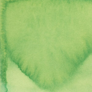Pennonia Kárpátzöld - Fluorescent (60 ml bottled ink, green)