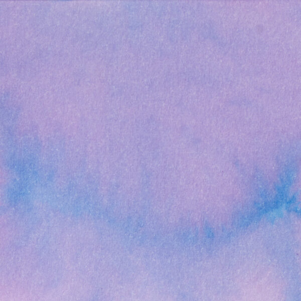 Pennonia Orgona (60 ml bottled ink, purple)