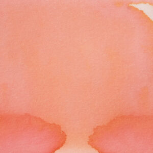 Pennonia Rági (60 ml bottled ink, pink)
