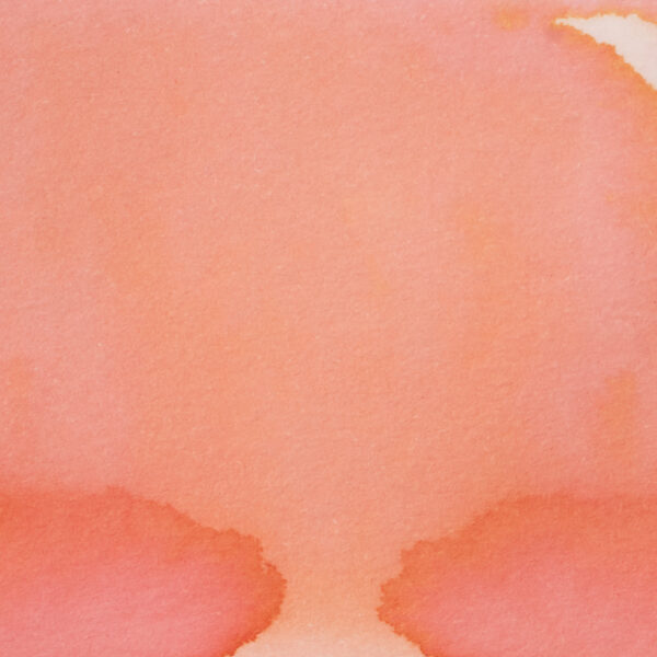 Pennonia Rági (60 ml bottled ink, pink)