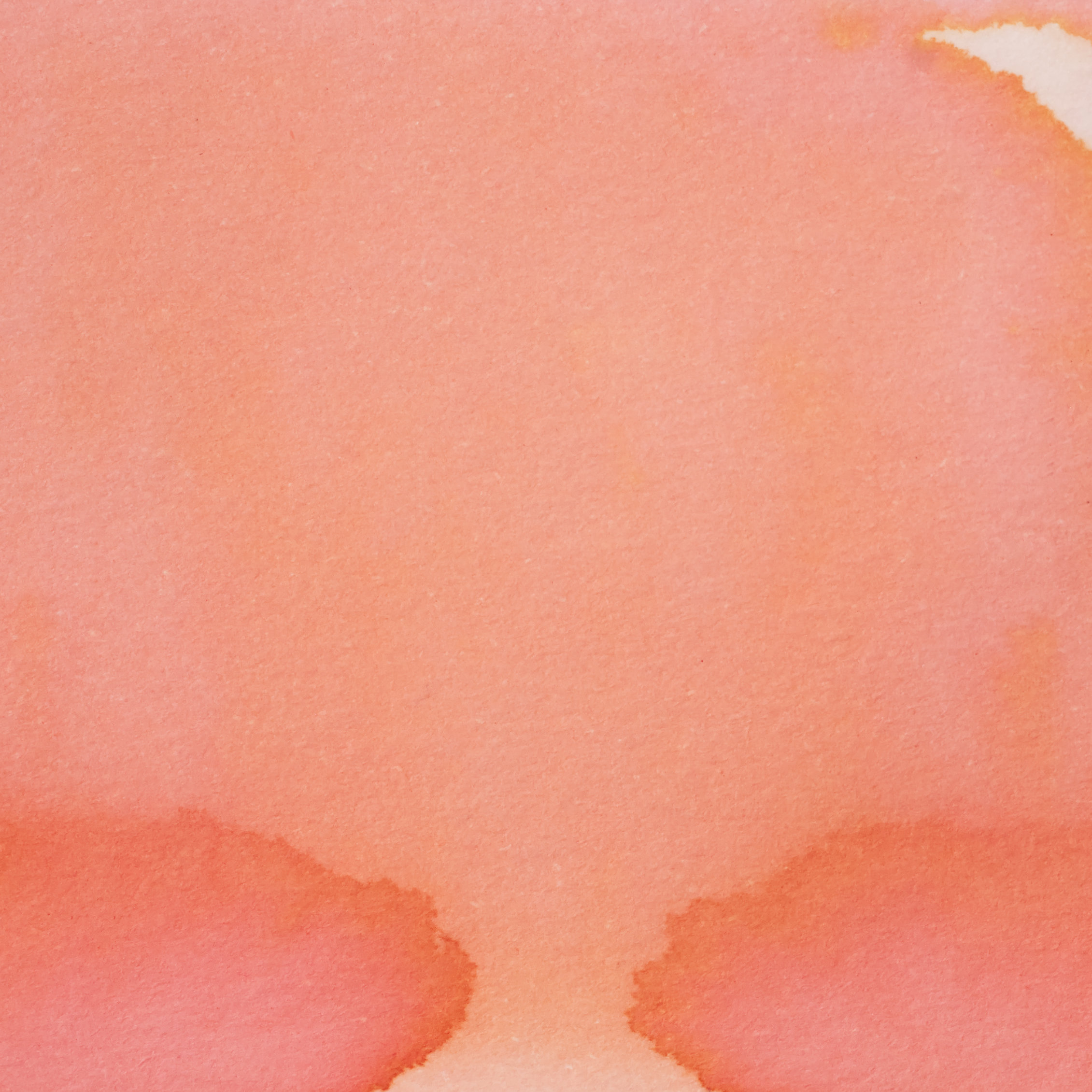 Pennonia Rági (60 ml bottled ink, pink)