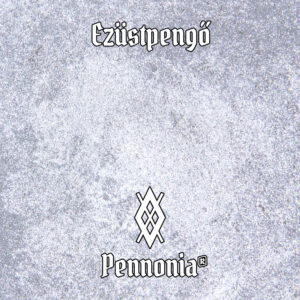 CS-002-Ezustpengo